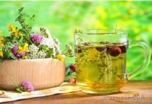 Травяные чаи для лечения сахарного диабета