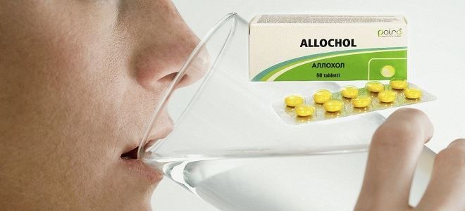 Как пить Аллохол: дозировка препарата для взрослых