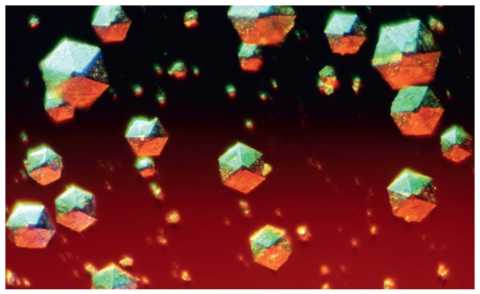 Фото кристаллов естественного человеческого инсулина в сыворотке крови (увеличение 18 000 раз)