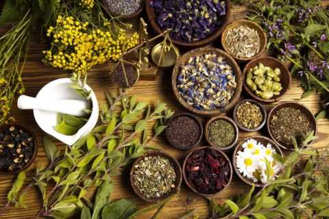 Каждый из растительных компонентов чая обладает уникальными полезными свойствами.