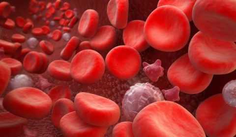 Определение гликированного гемоглобина