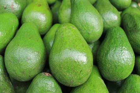 Плоды авокадо
