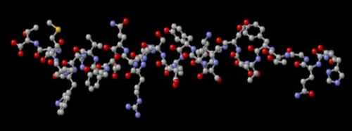 Молекулярное строение глюкагона