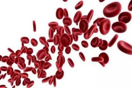Клетки крови